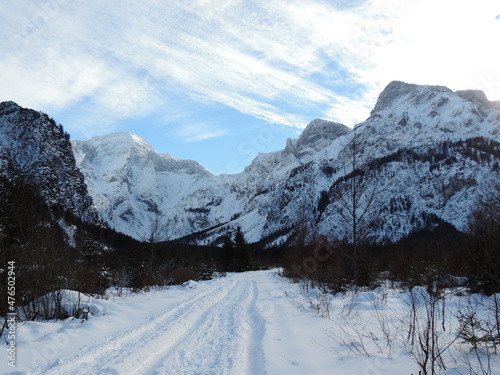 Winter mountain valley