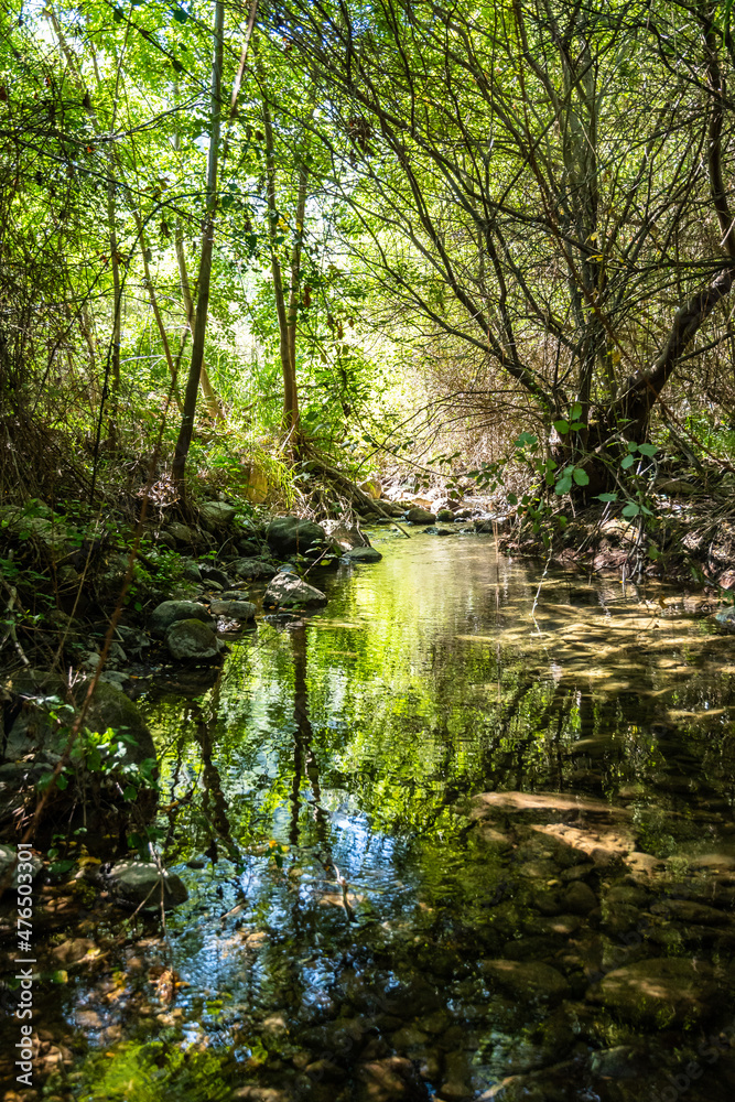 Canyon and river forming the so called Stretta di Longi, Galati Mamertino Canyon and river forming the so called Stretta di Longi, Galati Mamertino