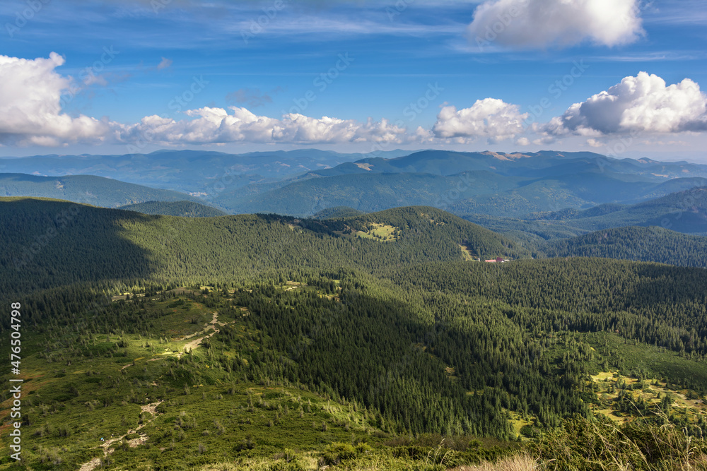 Trail to Mount Hoverla. Carpathian Mountains in Ukraine.