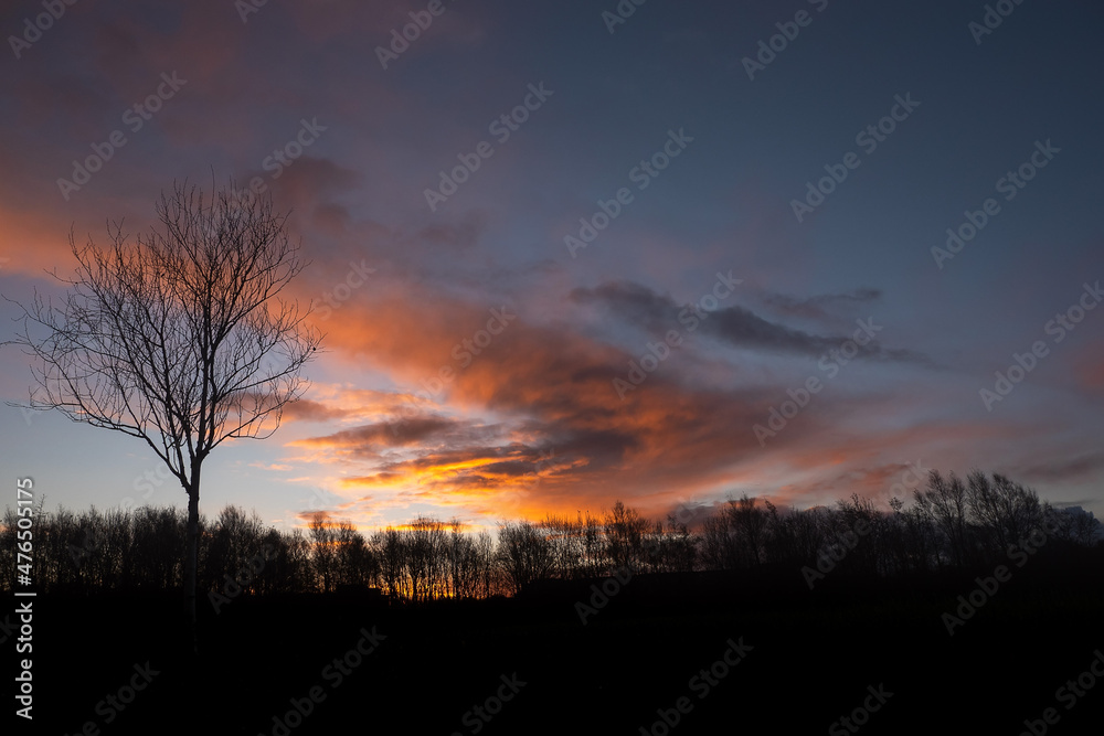 Silhouette of a trees in a park and stunning sunrise cloudy sky with rich, saturated colors. Warm orange and cool blue tone.