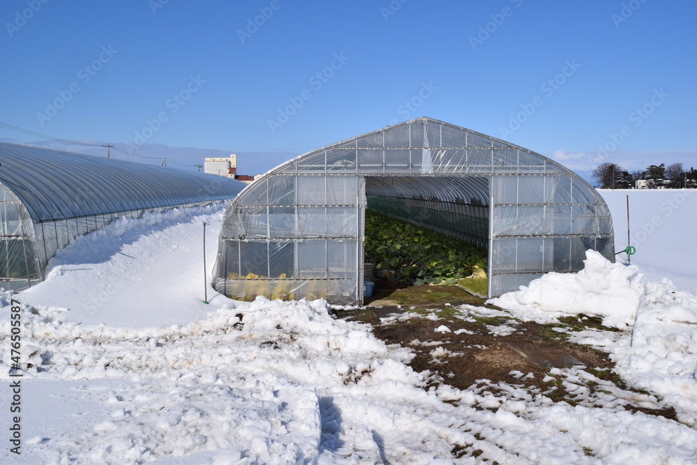 ビニールハウス 雪景色 ビニールハウス 雪景色