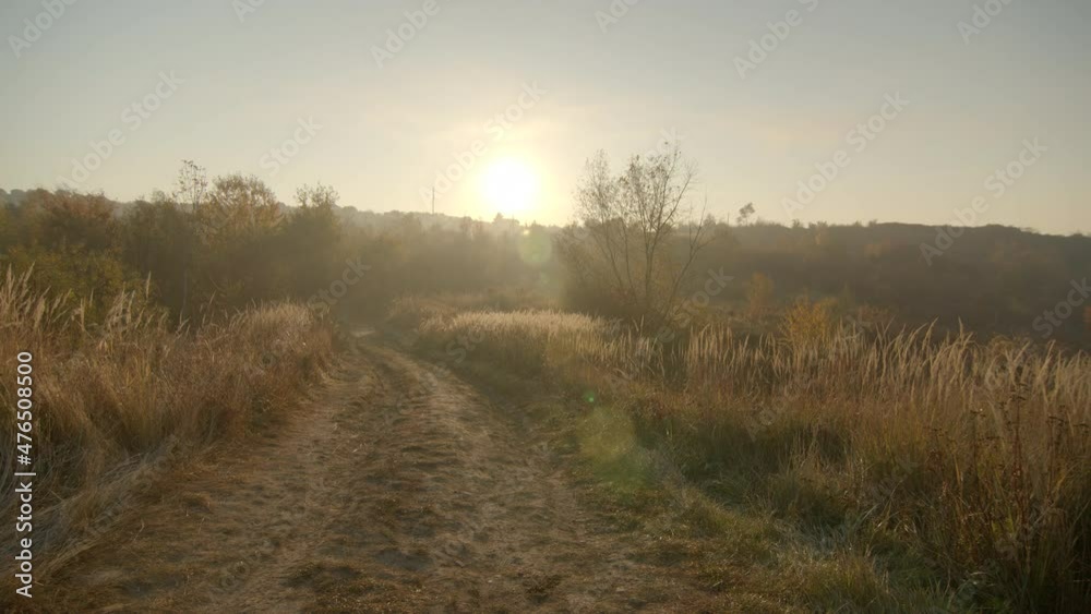 Beautiful morning overview of wheat field and dirt road on the foreground. Sunny autumn morning. Beautiful morning overview of wheat field and dirt road on the foreground. Sunny autumn morning.