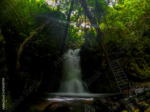Fototapeta Naklejka Na Ścianę i Meble -  Long exposure view of Jamblon waterfall (Cascade Jamblon) hidden in a forest located in the north-east of Mauritius island