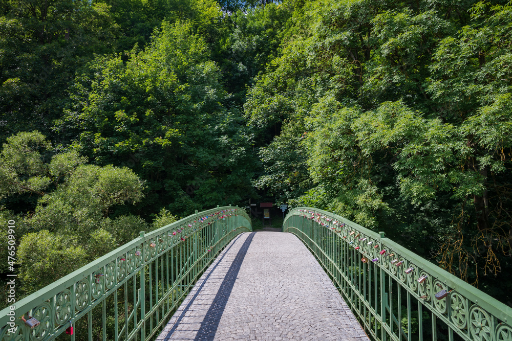 Old pedestrian bridge leading to the forest