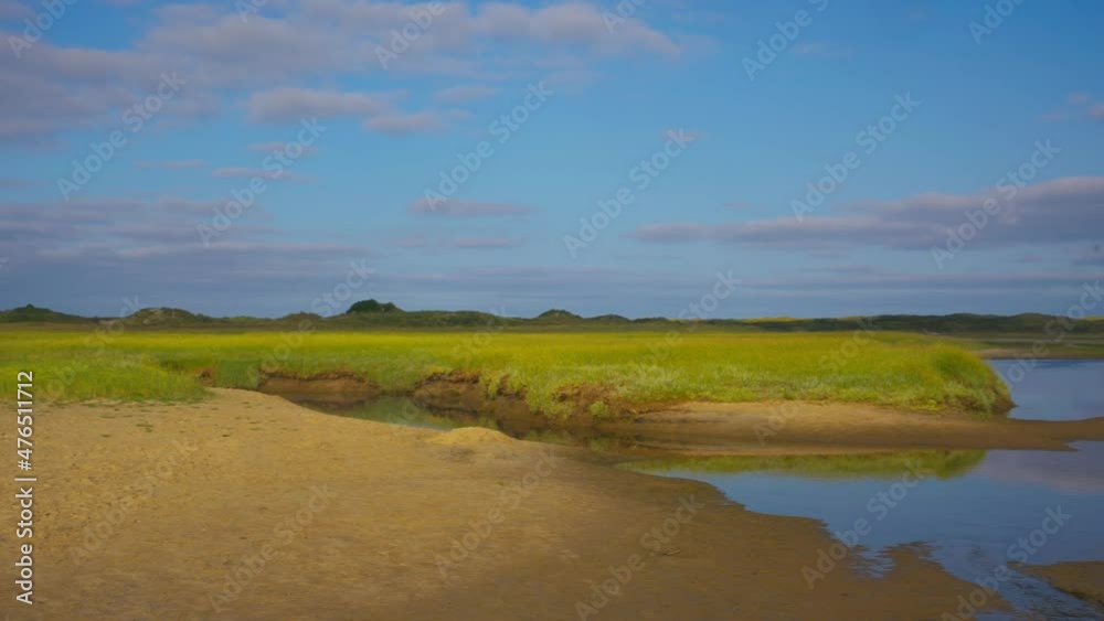Isolated picture landscape of wetlands where vegetation is abundant. Panning wide