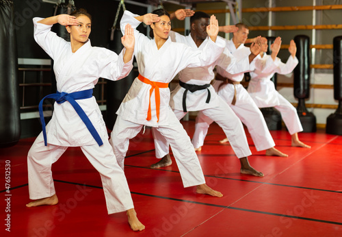 Group of people, Caucasian, African-american, Hispanic, Asian people in kimono standing in row doing kata moves in gym.