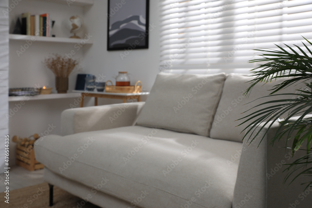 Comfortable light grey sofa and green plant near window in living room. Interior design