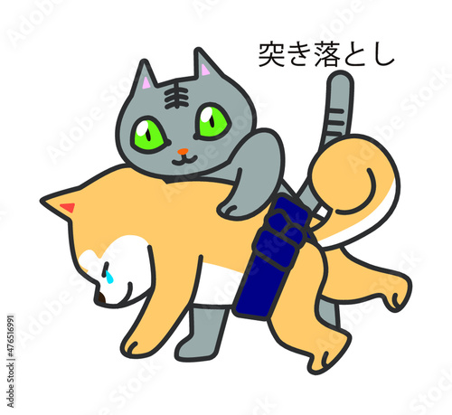 犬猫相撲　突き落とし