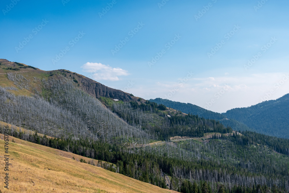 YellowStone National Park hiking YellowStone National Park hiking