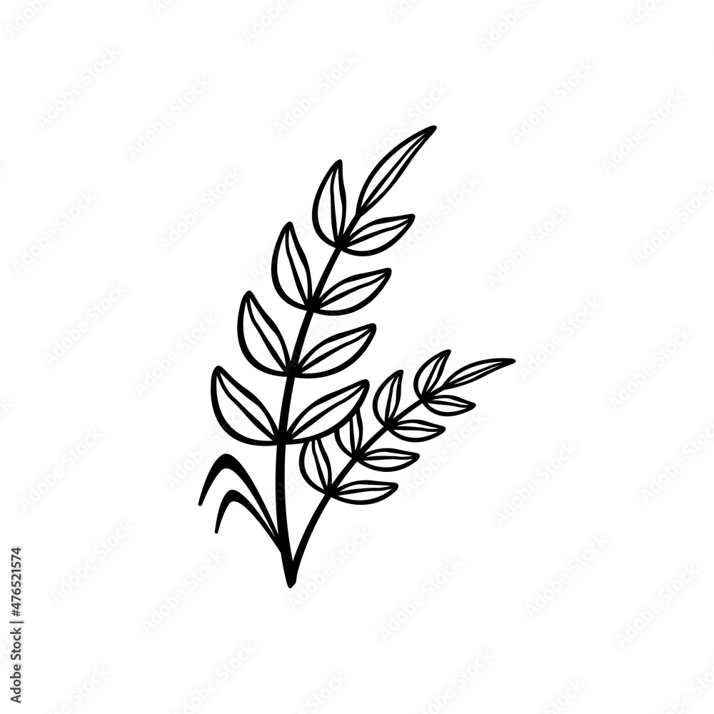 leaf branch graphic design template vector