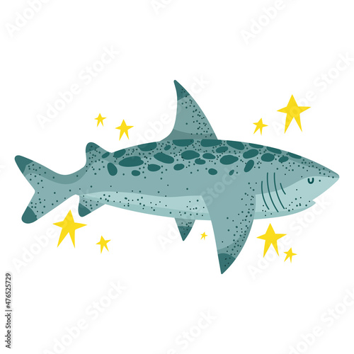 shark vector icon