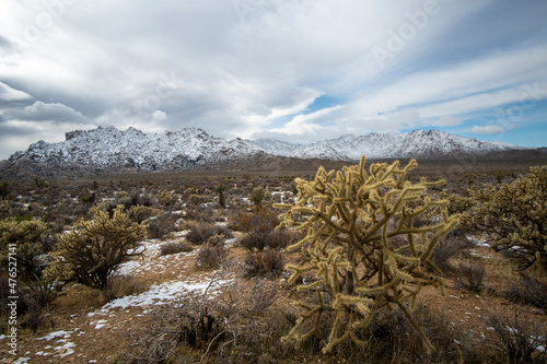 Winter desert mountains