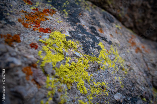 Mossy rock
