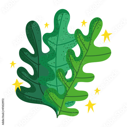 seaweed cartoon icon