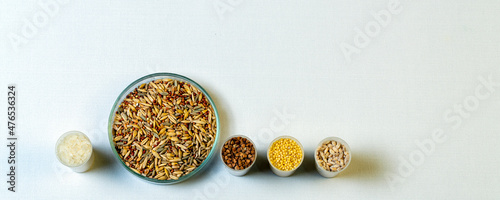 Millet, rice, buckwheat, pearl barley in the laboratory for food quality control of grain crops. Various varieties of cereals in a food laboratory.