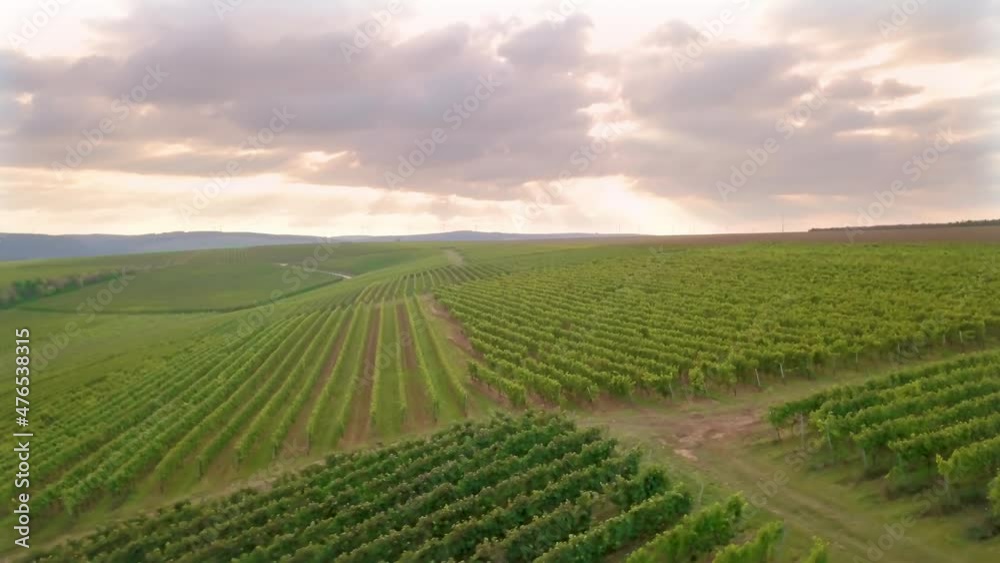 Luftaufnahme Drohnenpanorama eines Flonheimer Trullos und der Weinberge Rheinhessens mit Sonneruntergang im Herbst, Rheinland Pfalz nahe Alzey Luftaufnahme Drohnenpanorama eines Flonheimer Trullos und der Weinberge Rheinhessens mit Sonneruntergang im Herbst, Rheinland Pfalz nahe Alzey