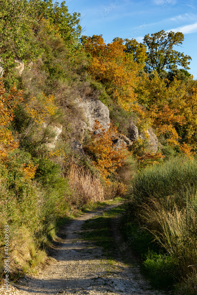 Ecological stone trail along the rocky coast of Mediterranean sea. Croatia