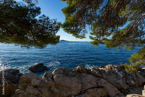 Rocky beach with crystalic clean sea water with pine tree on the coast of Adriatic Sea, Croatia.