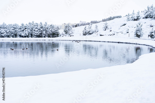 The city lake is snowy in winter. Winter landscape in a village by the lake
