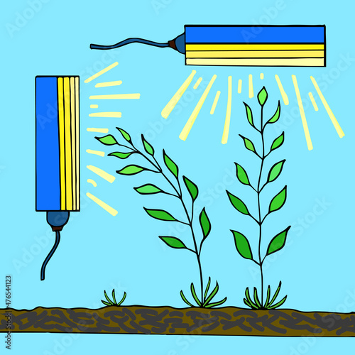 Seedlings reach for light source, lamp replaces  sun