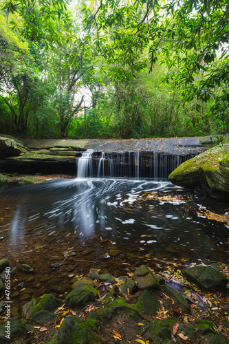 Fototapeta Naklejka Na Ścianę i Meble -  Flow of small waterfall in the rainforest.