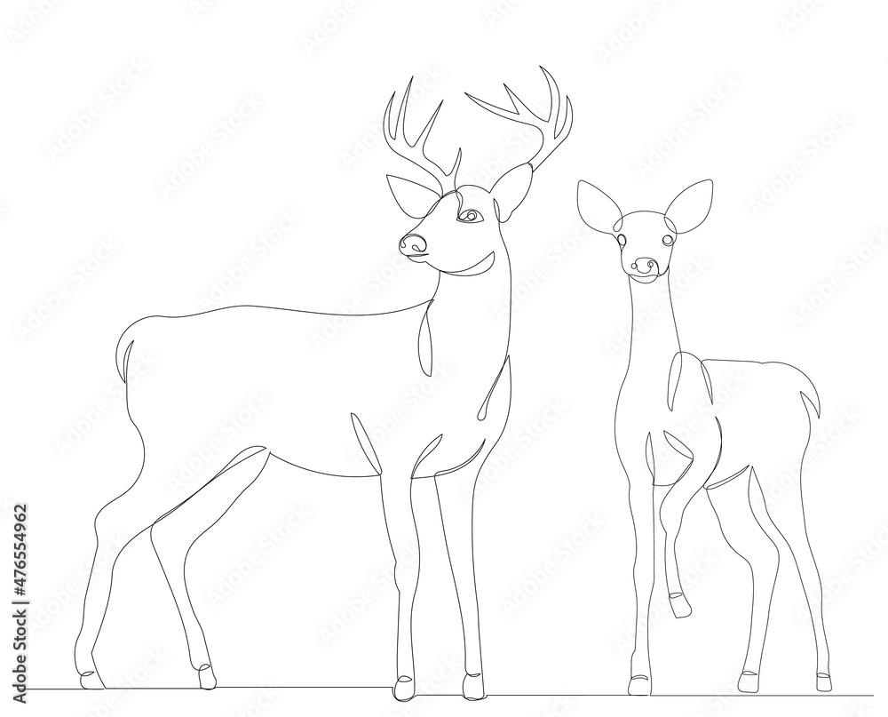 deer and fawn drawing by one continuous line, vector deer and fawn drawing by one continuous line, vector
