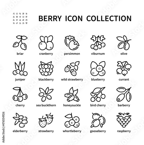 Berry simple set of vector linear icons. Isolated collection of berries icons on white background. Vector symbol set.