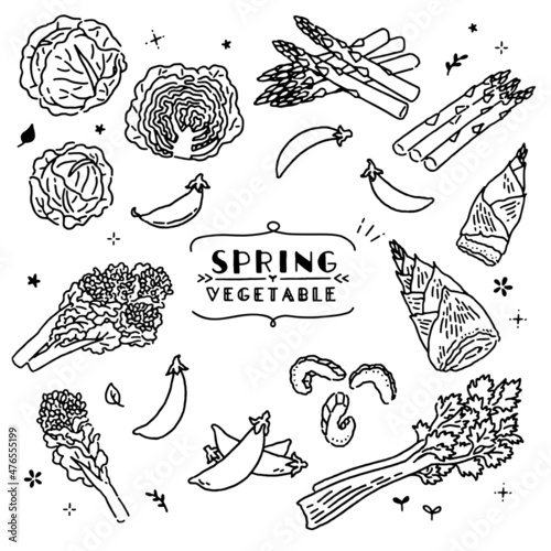 シンプルな春野菜のイラスト