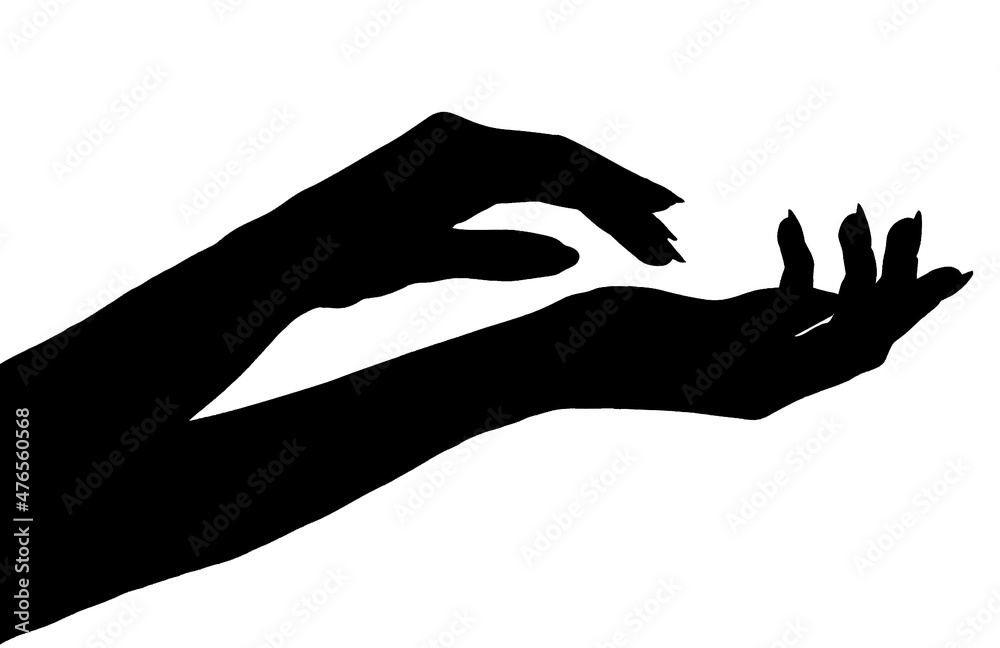 silhouette of a hand isolated white background showing gesture holds something or takes, gives. hands showing different gestures silhouette of a hand isolated white background showing gesture holds something or takes, gives. hands showing different gestures
