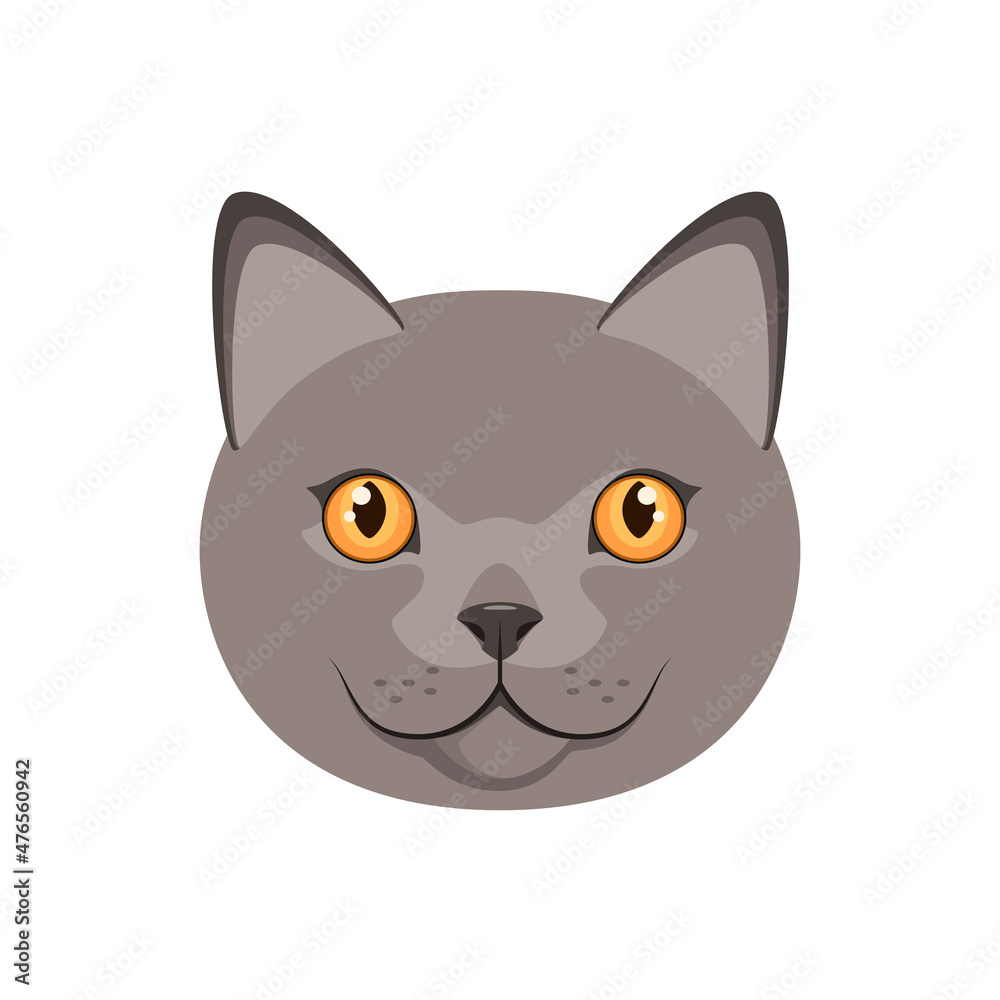 The head of a British cat on a white background. Cartoon design.
The head of a British cat on a white background. Cartoon design.