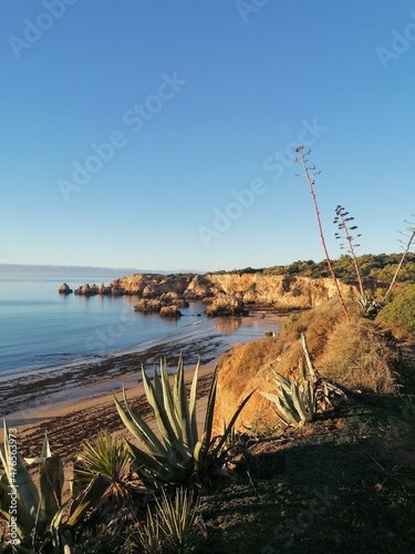 The stunning beautiful coastline landscapes along the Algarve in Portugal during sunset