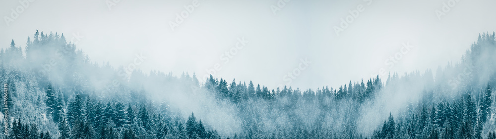 Amazing mystical rising fog sky forest snow snowy trees landscape snowscape in black forest ( Schwarzwald ) winter, Germany panorama banner - mystical snow mood