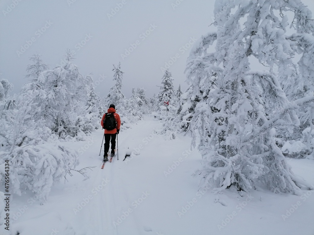 Cross country tour skiing in the snowy mountain of Sälen in Dalarna, Sweden