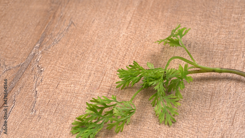 Dry coriander seeds with small bamboo spoon and green fresh bunch coriander leaves,famous spices ingredients in asia's kitchen. Dry coriander seeds with small bamboo spoon and green fresh bunch coriander leaves,famous spices ingredients in asia's kitchen.