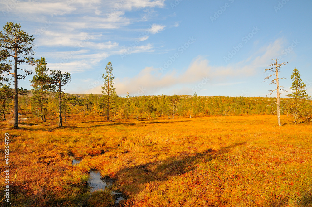 Fototapeta premium Fulufjället Nationalpark in Schweden im Herbst