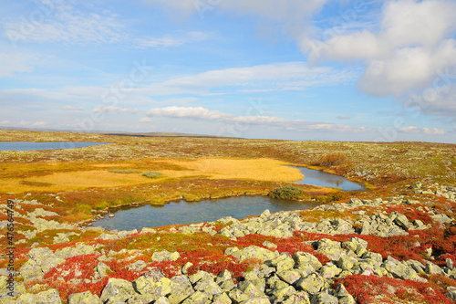 Fulufjället Nationalpark in Schweden im Herbst	 photo