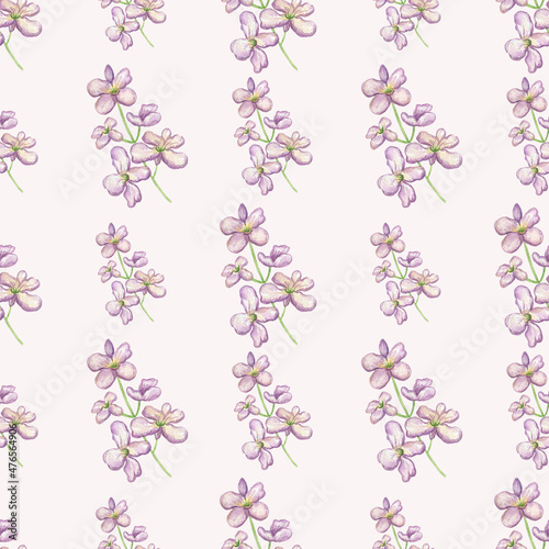 Watercolor seamless mattiola pattern isolated on white background.Perfect for textile fabrics and clothes.
