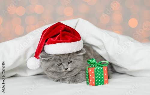 Cute kitten wearing red santa hat lying under white blanket on festive background with gift box
