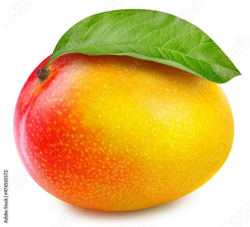 Juicy mango isolated on the white background