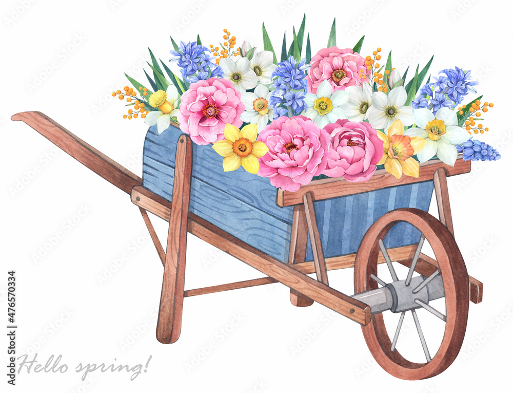 Garden wheelbarrow  with spring flowers. Watercolor illustration. Peonies, daffodils, hyacinth, leaves.