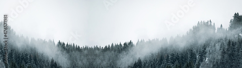 Amazing mystical rising fog sky forest snow snowy trees landscape snowscape in black forest ( Schwarzwald ) winter, Germany panorama banner - mystical snow mood