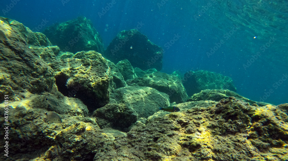 Fototapeta premium Underwater world of Mediterranean Sea. Near Marmaris, Turkey