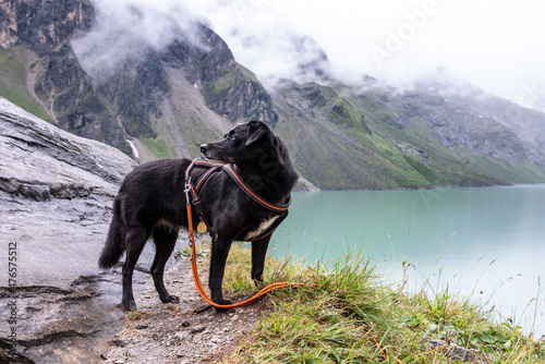 Hiking with the dog in the alpine landscape of Kaprun reservoirs