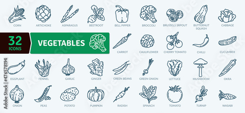 Fresh and Juicy Vegetables Icons. Line icons collection set. Simple vector icons