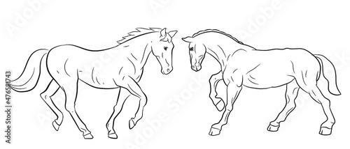 Animals. Black and white image  horse  coloring book for children. Vector drawing.