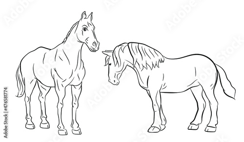 Animals. Black and white image  horse  coloring book for children. Vector drawing.