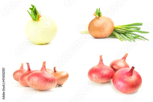 Collage of Fresh onion bulbs isolated on a white background with clipping path