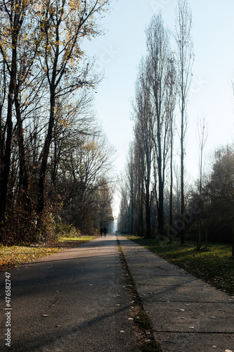 walking path