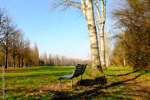 bench in the park