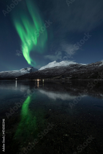 Northern lights (Aurora borealis) reflected in a freezing fjord in northern Norway © Horia